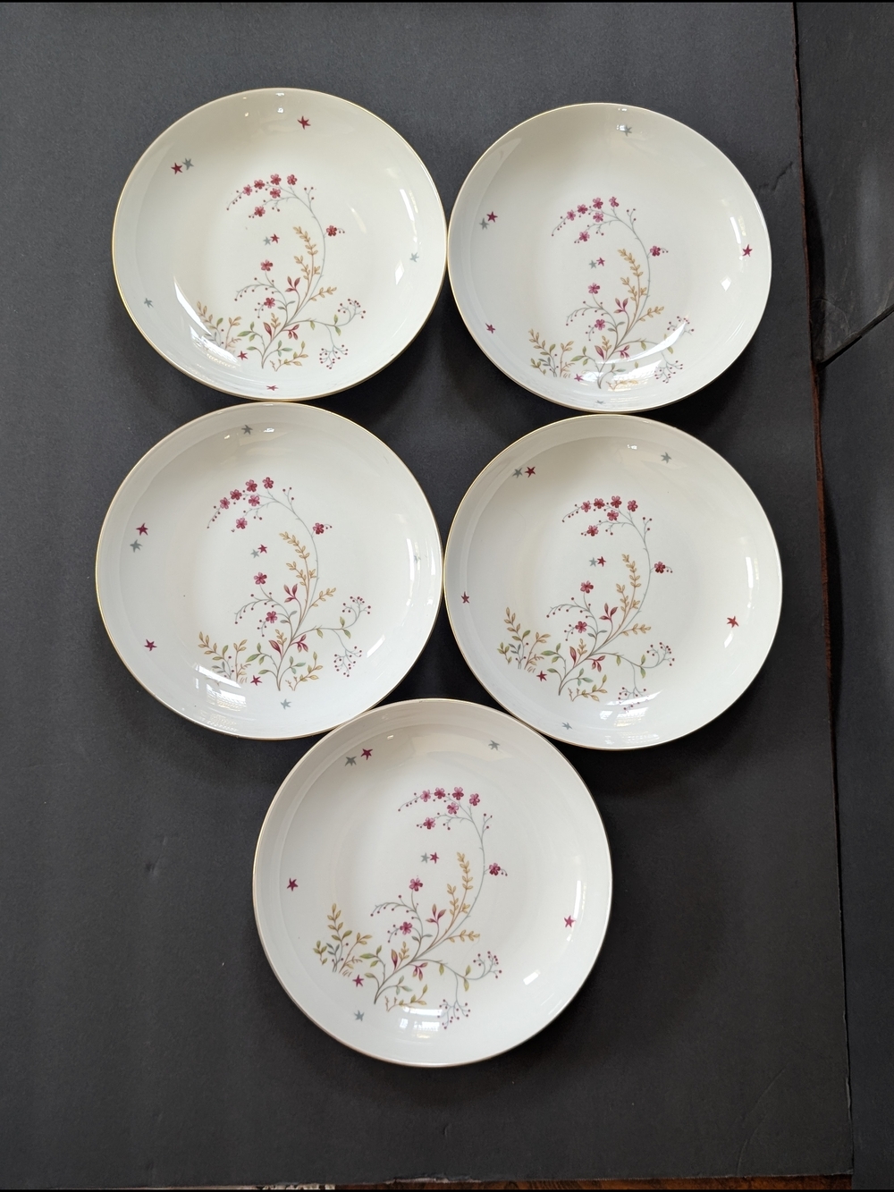 Eschenbach Bavaria Germany Clarice design Floral Bone China Dessert Plates 5